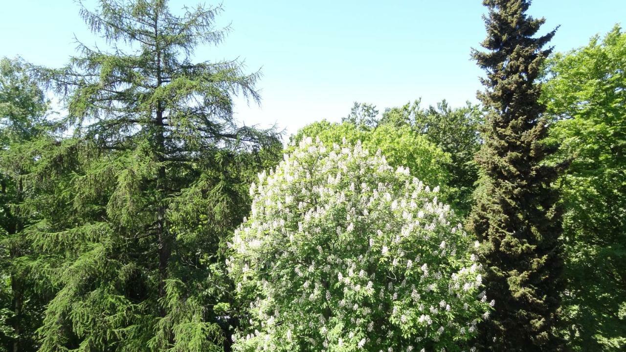 Waldschloss Parow Koserow Екстер'єр фото